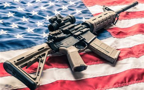 open letter   elected class  gun control personal liberty