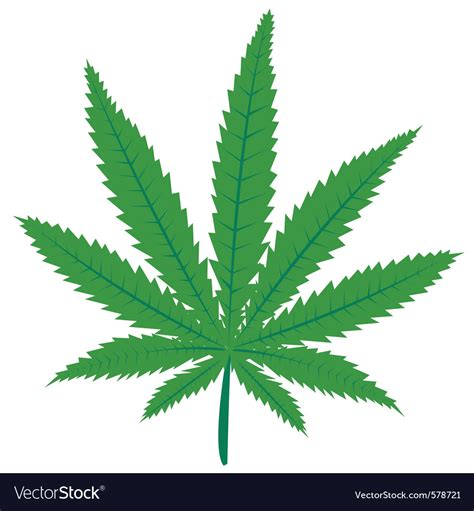 marijuana leaf royalty  vector image vectorstock