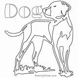 Coloring Dog Cattle Pages Australian Redbone Coonhound Getcolorings Getdrawings Template sketch template