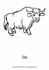 Ox Activityvillage Oxen Farm Designlooter sketch template