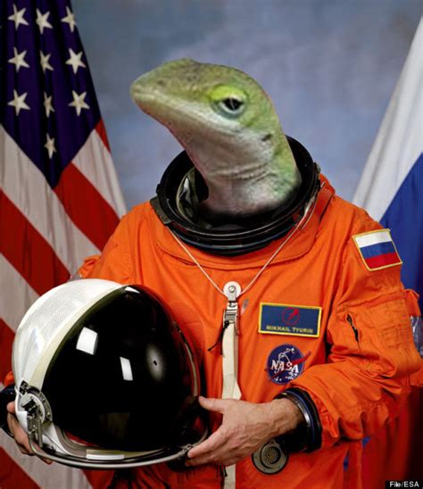 Russian Geckos Die Before They Can Have Sex In Space