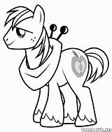 Pony Coloring Brave Shining Armor sketch template