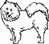 Samoyed Vector Illustration Stock Depositphotos Vectors Illustrations Royalty Preview sketch template