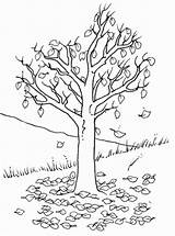 Arbre Coloriage Automne Feuille Loup Imprimer Baum Copaci Feuilles Arbres Coloriages Colorat Herbst Desene árbol Hojas Rigolo Girafe Orianne Lallemand sketch template