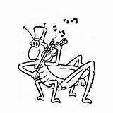 Cicada Animals Coloring sketch template