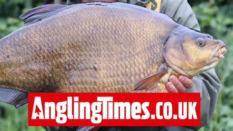 ‘simply unbelievable bream banked from midlands pit angling times