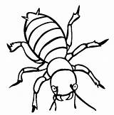 Beetle Coloring Pages Angry sketch template