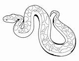 Rattlesnake Diamondback Getdrawings Drawing Coloring Pages sketch template