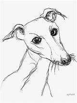 Whippet Sticker Redbubble sketch template