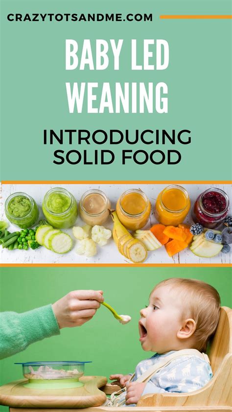 baby led weaning introducing solid food baby led weaning baby led weaning  foods led