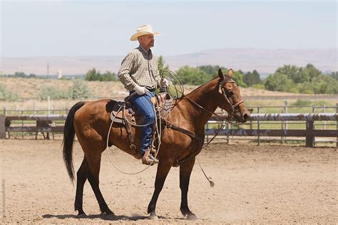 cowboy sitting   horse   arena  tana teel stocksy united
