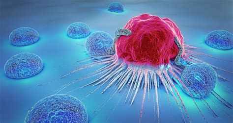 Cancer Immunotherapy – Health Insure Savvy