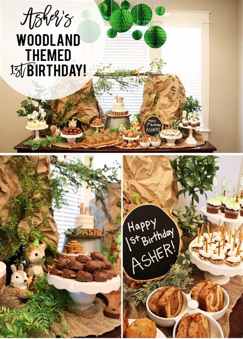 woodland themed birthday party supplies