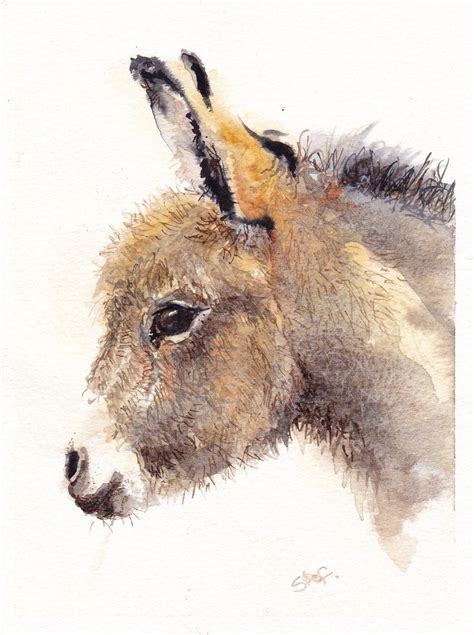 donkey foal head study original watercolour  barningham  etsy