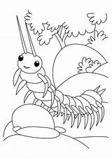 Coloring Centipede Pages Insect Coloring4free Bug Designlooter Books Popular sketch template