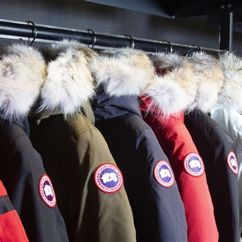 canada goose pledges to stop using new fur
