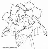 Gardenia Flower Drawing Drawings Paintingvalley Coloring sketch template