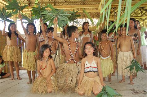 Indigenous People And Rainforests