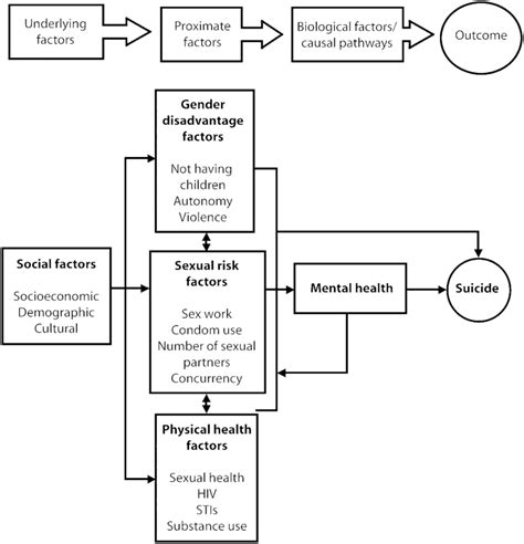 a conceptual framework for social risk factors for suicide