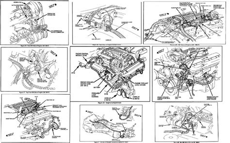 diagram  camaro engine wiring diagram mydiagramonline