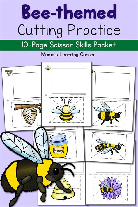 bee cutting practice worksheets  bee tree mamas learning corner