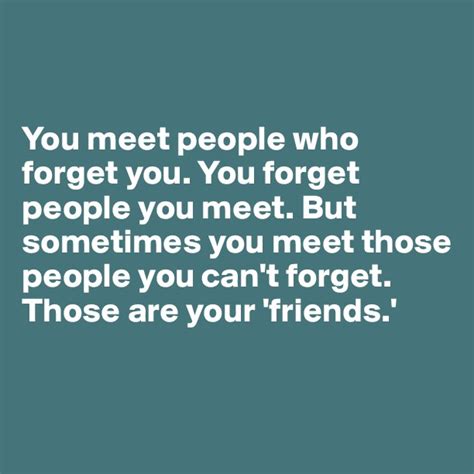 sometimes you meet people quotes quotesgram