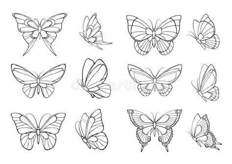 outline simple outline butterfly tattoo drawing francine