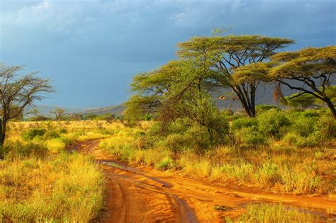 samburu nationalpark kenia franks travelbox