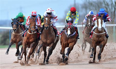 horse racing race equestrian sport jockey horses wallpapers hd