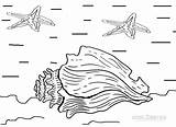 Coloring Pages Seashell Kids sketch template
