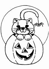 Gatto Kleurplaat Zucca Gato Citrouille Poes Stampare Kleurplaten Happy sketch template