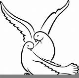 Clipart Dove Clker Large Wedding sketch template