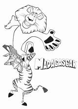 Madagascar Coloriage Marty Colorare Disegno Melhore Cartone Colorier Trickfilmfiguren Animato Personaggio Tudodesenhos Fêtes Sorties Cartoni sketch template