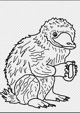 Niffler Fantastic Beasts Coloring Tierwesen Phantastische Wikihow Hogwarts Creature Nifflers Step Malvorlagen sketch template