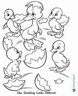 Ugly Duckling Coloring Pages Printable Color Sheet Below Click sketch template