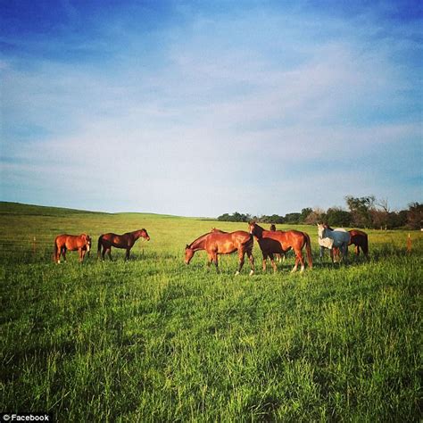 pioneer woman ree drummond is 23rd largest landowner in us daily mail