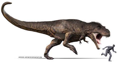 Tyrannosaurus Rex By Herschel Hoffmeyer On Deviantart