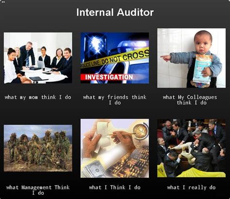 auditor accounting humor internal audit  ugly truth puget sound