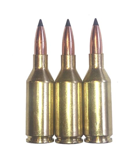 wssm archives fakebulletscom snap caps dummy rounds