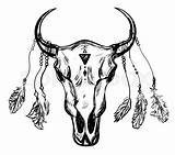 Skull Buffalo Native American Vector Drawing Feathers Longhorn Feather Bull Outline Sketch Cow Cool Getdrawings Goat Catcher Ethnic Dream Vectorstock sketch template