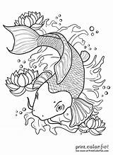 Fish Koi Coloring Pages Pond Outline Drawing Color Adults Adult Japanese Print Printable Water Template Colors Getdrawings Book Drawings Printcolorfun sketch template