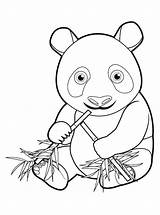 Panda Fun Kids sketch template