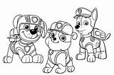Patrol Rubble Chase Zuma Kleurplaat Ausmalbilder Canina Patrulha Colorir Imagensparacolorir Malvorlagen sketch template