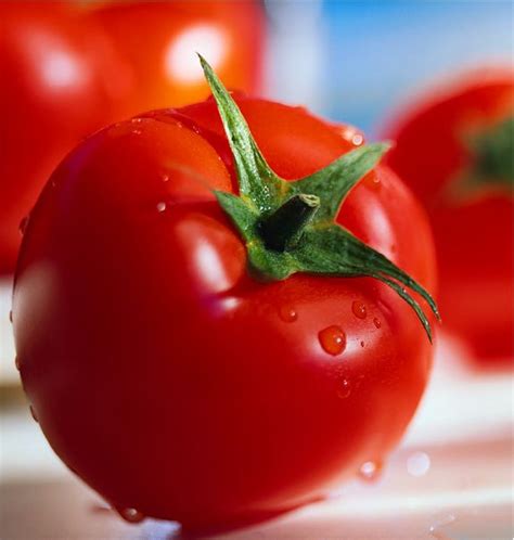 benefits  efficacy  tomato fruit culinary vacations