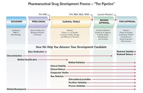 Pin On Drug Development