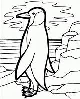 Penguin Emperor Xcolorings 828px 1024px 93k sketch template