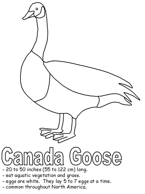 canada goose coloring page space coloring pages farm animal coloring