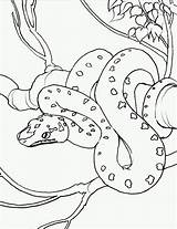 Snake Coloring Pages Coloringkids Print Colouring sketch template