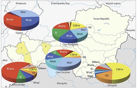 Y Dna Haplogroups Of Tuvinian Tribes Show Little Effect Of