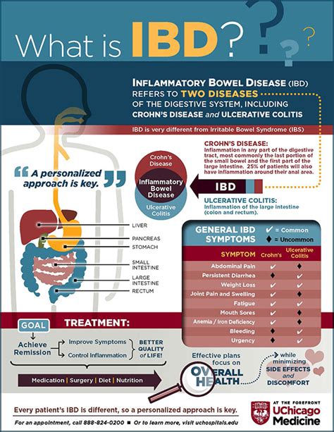 what is inflammatory bowel disease infographic